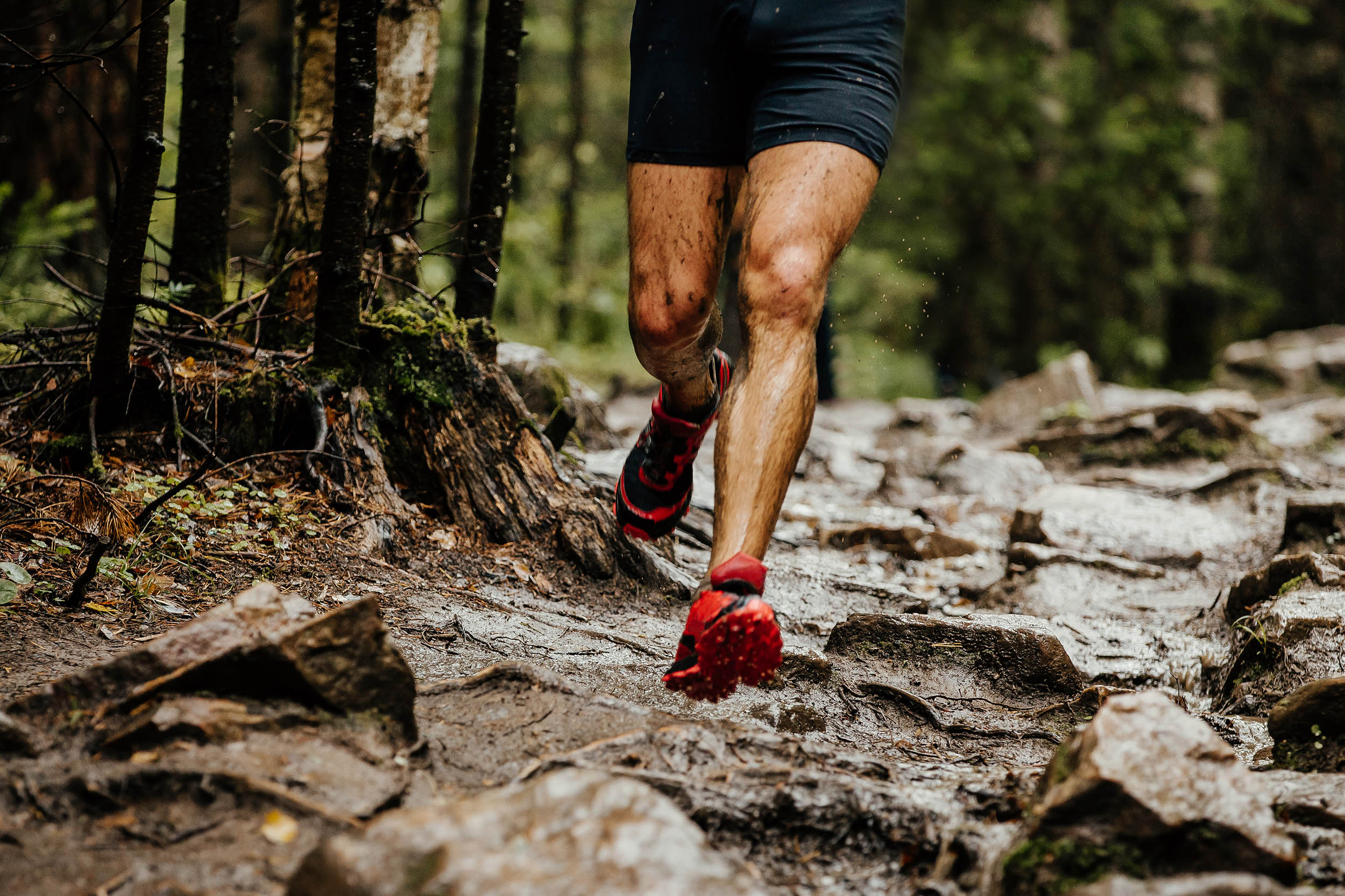 Close-up of man's legs running on an outdoor trail through a forest Close-up of man's legs running on an outdoor trail through a forest